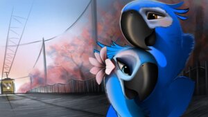 Rating: Safe Score: 0 Tags: 2012 avian beak bird blu_(rio) blue_sky_studios blurred_background blush canon_couple catenary digital_media_(artwork) duo e621 electric_locomotive f0st3rch1ld female flower imminent_danger intraspecies jewel_(rio) love macaw male neotropical_parrot parrot plant railway_track rio_(series) romantic romantic_ambiance romantic_couple smile spix's_macaw train tree true_parrot vehicle User: bunchy7s