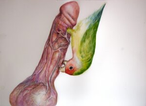 Rating: Explicit Score: 0 Tags: ambiguous_gender avian balls bestiality bird blood blood_from_penis bodily_fluids brittany_zagoria cock_and_ball_torture disembodied_penis duo e621 erection feral genital_torture genitals gore gore_focus human humanoid_genitalia humanoid_penis lovebird male male/ambiguous mammal nightmare_fuel painting_(artwork) parrot penis penis_bite realistic realistic_feral solo_focus traditional_media_(artwork) traditional_painting_(artwork) traditional_watercolor_(artwork) true_parrot vein watercolor_(artwork) where_is_your_god_now why User: bunchy7s