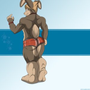 Rating: Questionable Score: 0 Tags: 1:1 aaron_(artist) anthro butt digital_media_(artwork) e621 hi_res lagomorph leporid looking_at_viewer male mammal muscular muscular_anthro muscular_male rabbit solo User: bunchy7s Rating: Questionable Score: 0 Tags: 1:1 aaron_(artist) anthro butt digital_media_(artwork) e621 hi_res lagomorph leporid looking_at_viewer male mammal muscular muscular_anthro muscular_male rabbit solo User: bunchy7s