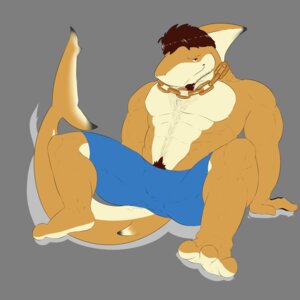 Rating: Safe Score: 0 Tags: 1:1 2014 abrahamsillo abs alpha_channel anthro aquatic biceps biped body_hair bottomwear brown_body brown_eyes brown_hair brown_skin bulge chain chest_hair clothed clothing e621 facial_hair fish hair happy_trail hi_res jewelry looking_at_viewer male muscular muscular_anthro muscular_male necklace pecs plantigrade pubes shark shorts simple_background sitting smile solo topless transparent_background User: bunchy7s Rating: Safe Score: 0 Tags: 1:1 2014 abrahamsillo abs alpha_channel anthro aquatic biceps biped body_hair bottomwear brown_body brown_eyes brown_hair brown_skin bulge chain chest_hair clothed clothing e621 facial_hair fish hair happy_trail hi_res jewelry looking_at_viewer male muscular muscular_anthro muscular_male necklace pecs plantigrade pubes shark shorts simple_background sitting smile solo topless transparent_background User: bunchy7s