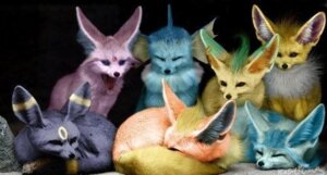 Rating: Safe Score: 0 Tags: ambiguous_gender canid canine e621 eeveelution espeon feral flareon generation_1_pokemon generation_2_pokemon generation_4_pokemon glaceon group jolteon leafeon low_res mammal nintendo pokemon pokemon_(species) real realistic shopped tail third-party_edit umbreon unknown_artist vaporeon User: bunchy7s Rating: Safe Score: 0 Tags: ambiguous_gender canid canine e621 eeveelution espeon feral flareon generation_1_pokemon generation_2_pokemon generation_4_pokemon glaceon group jolteon leafeon low_res mammal nintendo pokemon pokemon_(species) real realistic shopped tail third-party_edit umbreon unknown_artist vaporeon User: bunchy7s