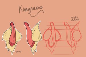 Rating: Explicit Score: 0 Tags: anatomically_inaccurate animal_genitalia animal_penis balls balls_above_penis cloacal_penis disembodied_penis e621 erection genital_shot genitals glans hi_res humanoid_genitalia humanoid_penis hybrid_genitalia hybrid_penis kaiza_teira kangaroo macropod male mammal marsupial marsupial_penis outline penis penis_shot pink_penis red_glans solo tan_balls tapering_penis User: bunchy7s