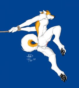 Rating: Explicit Score: 0 Tags: 2010 anthro balls bdsm bondage bound canid canine canis domestic_dog e621 erection genitals hands_behind_back hi_res labbedog male mammal nude penis rope solo submissive submissive_male tail User: bunchy7s Rating: Explicit Score: 0 Tags: 2010 anthro balls bdsm bondage bound canid canine canis domestic_dog e621 erection genitals hands_behind_back hi_res labbedog male mammal nude penis rope solo submissive submissive_male tail User: bunchy7s