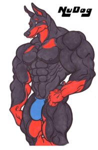 Rating: Questionable Score: 0 Tags: 2006 abs anthro biceps big_muscles biped black_body black_fur brown_eyes bulge canid canine canis clothed clothing domestic_dog e621 flexing fur huge_muscles humanoid_pointy_ears male mammal muscular muscular_anthro muscular_male nipples nudog pecs pointy_ears pose red_body red_fur simple_background solo speedo standing swimwear topless white_background User: bunchy7s