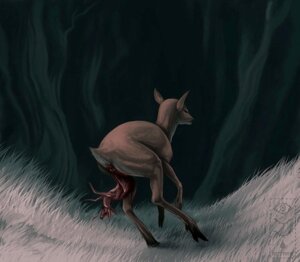 Rating: Explicit Score: 0 Tags: birth blood bodily_fluids dark deer digital_media_(artwork) duo e621 female feral fisheye_lens hooves live_birth male mammal neonate rotarr young User: bunchy7s