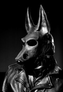 Rating: Safe Score: 0 Tags: 2008 anthro anubian_jackal anubis bust_portrait canid canine canis clothing costume deity e621 egyptian_mythology fursuit grandfathered_content greyscale hawkwolf hawkwolf_(artist) human jackal jacket latex leather leather_clothing leather_jacket leather_topwear male mammal mask middle_eastern_mythology monochrome mythology photography_(artwork) portrait real solo topwear User: bunchy7s Rating: Safe Score: 0 Tags: 2008 anthro anubian_jackal anubis bust_portrait canid canine canis clothing costume deity e621 egyptian_mythology fursuit grandfathered_content greyscale hawkwolf hawkwolf_(artist) human jackal jacket latex leather leather_clothing leather_jacket leather_topwear male mammal mask middle_eastern_mythology monochrome mythology photography_(artwork) portrait real solo topwear User: bunchy7s