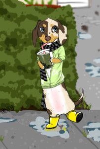 Rating: Safe Score: 0 Tags: anthro beverage blue_eyes boots bottomless canid canine canis clothed clothing dachshund dappled_fur domestic_dog e621 female food footwear holeweet hunting_dog mammal scarf shoes solo tail toast_(character) User: bunchy7s Rating: Safe Score: 0 Tags: anthro beverage blue_eyes boots bottomless canid canine canis clothed clothing dachshund dappled_fur domestic_dog e621 female food footwear holeweet hunting_dog mammal scarf shoes solo tail toast_(character) User: bunchy7s