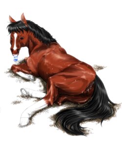 Rating: Explicit Score: 0 Tags: anatomically_correct anatomically_correct_genitalia anatomically_correct_vulva animal_genitalia animal_vulva anus black_hair bodily_fluids condom condom_in_mouth e621 equid equine equine_genitalia equine_vulva female feral genital_fluids genitals grass hair horse lovehinba lying mammal mouth_hold object_in_mouth offering_condom on_side plant presenting quadruped sexual_barrier_device solo sweat tail unused_condom vaginal_fluids vulva wrapped_condom User: bunchy7s Rating: Explicit Score: 0 Tags: anatomically_correct anatomically_correct_genitalia anatomically_correct_vulva animal_genitalia animal_vulva anus black_hair bodily_fluids condom condom_in_mouth e621 equid equine equine_genitalia equine_vulva female feral genital_fluids genitals grass hair horse lovehinba lying mammal mouth_hold object_in_mouth offering_condom on_side plant presenting quadruped sexual_barrier_device solo sweat tail unused_condom vaginal_fluids vulva wrapped_condom User: bunchy7s