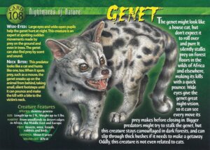 Rating: Safe Score: 0 Tags: ambiguous_gender e621 english_text feral fur genet mammal open_mouth realistic sharp_teeth solo spots standing teeth text tongue unknown_artist viverrid User: bunchy7s Rating: Safe Score: 0 Tags: ambiguous_gender e621 english_text feral fur genet mammal open_mouth realistic sharp_teeth solo spots standing teeth text tongue unknown_artist viverrid User: bunchy7s