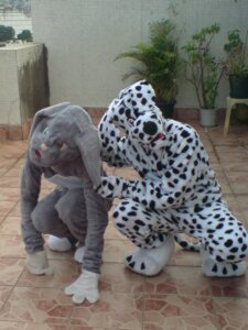 Rating: Safe Score: 0 Tags: 3:4 ambiguous_gender anthro canid canine canis clothing costume dalmatian derp_eyes domestic_dog duo e621 fursuit grandfathered_content hi_res humor lagomorph leporid mammal rabbit real unknown_artist User: bunchy7s