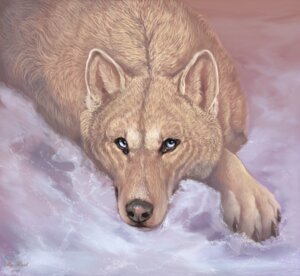 Rating: Safe Score: 0 Tags: 2011 ambiguous_gender black_nose blue_eyes canid canine canis detailed detailed_background digital_media_(artwork) digital_painting_(artwork) e621 feral flashw lying mammal outside painting_(artwork) realistic snow solo wolf User: bunchy7s