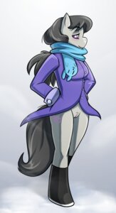 Rating: Explicit Score: 0 Tags: 2013 anthro anthrofied black_hair boots bottomless chromapan clothed clothing coat cutie_mark digital_media_(artwork) e621 earth_pony equid equine female footwear friendship_is_magic fur genitals grey_body grey_fur hair half-closed_eyes hands_on_hips hasbro hi_res horse mammal my_little_pony narrowed_eyes octavia_(mlp) pony purple_eyes scarf shoes smile solo topwear vulva User: bunchy7s