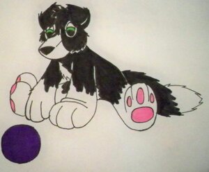 Rating: Safe Score: 0 Tags: ambiguous_gender ball border_collie canid canine canis collie domestic_dog e621 eimieejaxxon feral grandfathered_content herding_dog mammal marker_(artwork) pastoral_dog sheepdog solo tail traditional_media_(artwork) young young_feral User: bunchy7s