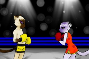 Rating: Safe Score: 0 Tags: animal_boxing anthro bottomwear boxing boxing_gloves chun_(animal_boxing) clothing darkangelyuna domestic_cat duo e621 felid feline felis female fighting_ring handwear lee_(animal_boxing) lights male mammal pantherine pants purple_eyes sport tail yellow_eyes User: bunchy7s