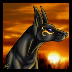 Rating: Safe Score: 0 Tags: 1:1 anubian_jackal anubis black_body black_border black_fur blue_eyes border bust_portrait canid canine canis deity detailed e621 egyptian egyptian_mythology feral fur icon jackal low_res male mammal middle_eastern_mythology mixed_media mythology photo_background photography_(artwork) portrait sazael solo sun warm_colors User: bunchy7s