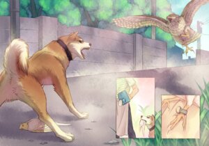 Rating: Safe Score: 0 Tags: accipitrid accipitriform ambiguous_gender angry avian beak bedding bird blanket canid canine canis cockatiel cockatoo collar comic domestic_dog e621 era_(artist) face_off fangs feathered_wings feathers feet feral flying group human mammal mouth_hold open_mouth parakeet parrot plant protecting quadruped shiba_inu spitz tail talons teeth toes tree true_parrot watering_can wings wood wounded User: bunchy7s