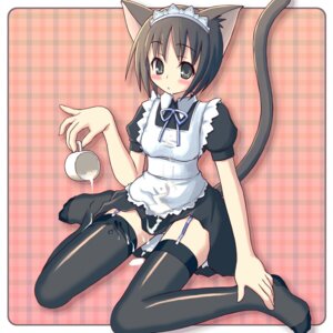 Rating: Explicit Score: 0 Tags: animal_ears cat_ears female highres kiminarinet maid milk original rule34 thighhighs User: bunchy7s