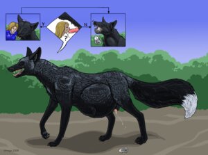 Rating: Explicit Score: 0 Tags: 2009 animal_genitalia animal_penis belly bestiality biped black_body black_fur bodily_fluids bust_portrait canid canine canine_genitalia canine_penis chart cum digital_media_(artwork) directional_arrow duo e621 erection eyes_closed fellatio female female_penetrated female_prey feral feral_pred fox front_view full-length_portrait fur genital_fluids genitals human human_on_feral human_prey interspecies knot male male/female male_penetrating male_penetrating_female male_pred mammal multiple_angles oral oral_penetration outside penetration penile penis penis_tip portrait quadruped renaud_(character) sex sheath side_view strega tail vore walking User: bunchy7s