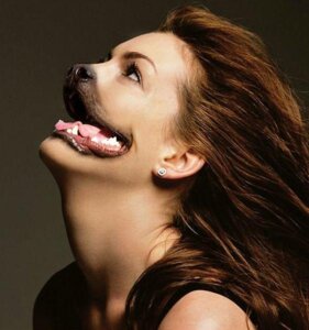 Rating: Safe Score: 0 Tags: anne_hathaway anthro brown_hair canid canine canis domestic_dog e621 fangs female hair human hybrid mammal molosser open_mouth photo_manipulation photomorph piercing pug real real_world shopped small_molosser solo teeth third-party_edit tongue toy_dog unknown_artist what what_has_science_done User: bunchy7s