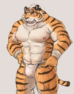 Rating: Questionable Score: 0 Tags: abs anthro barazoku biceps big_muscles bulge clothed clothing e621 en_gawein felid fur kemono male mammal muscular muscular_anthro muscular_male pantherine solo stripes tail tiger topless unavailable_at_source white_body white_fur User: bunchy7s