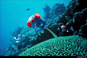 Rating: Safe Score: 0 Tags: ambiguous_gender anthozoan aquatic blue_theme cnidarian coral coral_reef detailed digital_media_(artwork) e621 feral fish generation_1_pokemon group mixed_media nintendo photo_background photography_(artwork) pokemon pokemon_(species) sea tentacool toony underwater unknown_artist water User: bunchy7s Rating: Safe Score: 0 Tags: ambiguous_gender anthozoan aquatic blue_theme cnidarian coral coral_reef detailed digital_media_(artwork) e621 feral fish generation_1_pokemon group mixed_media nintendo photo_background photography_(artwork) pokemon pokemon_(species) sea tentacool toony underwater unknown_artist water User: bunchy7s