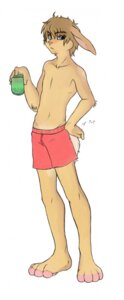 Rating: Safe Score: 0 Tags: 2008 anthro blue_eyes bottomwear clothed clothing e621 full-length_portrait hi_res lagomorph leporid male mammal portrait rabbit shorts shrl simple_background solo topless white_background User: bunchy7s