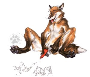 Rating: Explicit Score: 0 Tags: animal_genitalia animal_penis anthro balls blotch bodily_fluids canid canine canine_genitalia canine_penis cum dripping e621 erection fox genital_fluids genitals knot looking_at_viewer male mammal masturbation nude penile penile_masturbation penis red_fox simple_background solo spread_legs spreading tail tongue tongue_out true_fox white_background User: bunchy7s