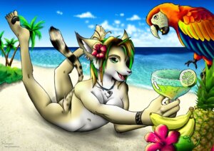 Rating: Questionable Score: 0 Tags: 2008 accessory alcohol anthro ara_(genus) avian banana beach bent_arm beverage bird breasts calves_up casual_nudity cloud detailed_background duo e621 ear_piercing extended_arm felid female feral flower flower_in_hair food fruit hair hair_accessory holding_glass holding_object jewelry lime locopelli lying macaw mammal necklace neotropical_parrot nude on_front outside parrot piercing plant raised_calf sand scarlet_macaw seaside sky tail tropical true_parrot water User: bunchy7s