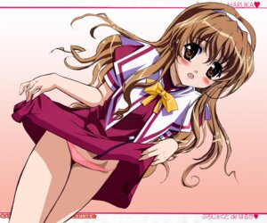 Rating: Explicit Score: 0 Tags: blush female nogizaka_haruka nogizaka_haruka_no_himitsu open_mouth rule34 tagme User: bunchy7s Rating: Explicit Score: 0 Tags: blush female nogizaka_haruka nogizaka_haruka_no_himitsu open_mouth rule34 tagme User: bunchy7s