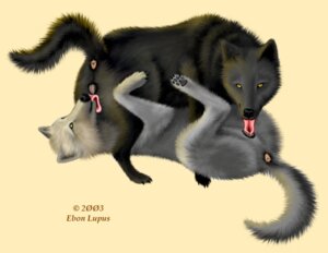 Rating: Explicit Score: 0 Tags: 2003 anatomically_correct anatomically_correct_anus anatomically_correct_genitalia anatomically_correct_vulva animal_genitalia animal_vulva anus canid canine canine_genitalia canine_vulva canis cunnilingus duo e621 ebon_lupus female female/female feral feral_on_feral genitals intraspecies licking mammal oral photorealism raised_tail realistic sex tail tail_anus tongue tongue_out vaginal vulva wolf User: bunchy7s Rating: Explicit Score: 0 Tags: 2003 anatomically_correct anatomically_correct_anus anatomically_correct_genitalia anatomically_correct_vulva animal_genitalia animal_vulva anus canid canine canine_genitalia canine_vulva canis cunnilingus duo e621 ebon_lupus female female/female feral feral_on_feral genitals intraspecies licking mammal oral photorealism raised_tail realistic sex tail tail_anus tongue tongue_out vaginal vulva wolf User: bunchy7s