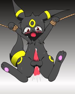 Rating: Explicit Score: 0 Tags: anal bdsm bodily_fluids bondage bound cum disembodied_penis duo e621 eeveelution erection feral generation_2_pokemon genital_fluids genitals hi_res male male/male male_penetrated male_penetrating male_penetrating_male nintendo penetration penis pokemon pokemon_(species) red_eyes rope sex solo_focus tears umbreon あラッキー User: bunchy7s