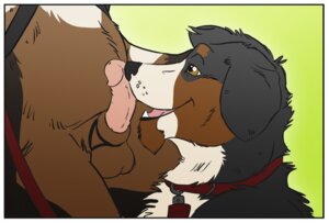 Rating: Explicit Score: 0 Tags: animal_genitalia anthro balls bernese_mountain_dog border canid canine canis collar domestic_dog dominant dominant_male duo e621 erection fellatio genitals humanoid_genitalia humanoid_penis leash male male/male male_penetrated male_penetrating male_penetrating_male mammal molosser moose_bmd mountain_dog nude nuzzling open_mouth oral overweight penetration penile penis sex sheath slightly_chubby submissive submissive_male swiss_mountain_dog white_border User: bunchy7s