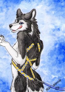 Rating: Questionable Score: 0 Tags: 2010 alma_aurora anthro biped black_body black_claws black_fur blue_eyes butt canid canine canis cheek_tuft claws domestic_dog e621 facial_tuft female fur harness husky leash licking looking_at_viewer mammal nordic_sled_dog open_mouth signature solo spitz tail teeth text tongue tongue_out tuft white_body white_fur User: bunchy7s