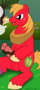 Rating: Explicit Score: 0 Tags: applejack_(mlp) big_macintosh_(mlp) earth_pony equine female feral friendship_is_magic fur horse male male_focus my_little_pony orange_fur pony red_fur rule34 smooth_skin yaoifairy User: bunchy7s