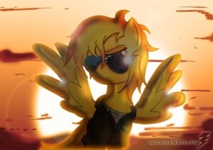 Rating: Safe Score: 0 Tags: 2012 absurd_res amber_eyes clothed clothing cloud e621 equid equine eyewear feathered_wings feathers female feral friendship_is_magic frown fur hair hasbro hi_res jacket mammal my_little_pony mythological_creature mythological_equine mythology orange_hair outside pegasus shirt simple_background sky solo spitfire_(mlp) sun sunglasses sunset toonlancer topwear wings wonderbolts_(mlp) yellow_body yellow_feathers yellow_fur User: bunchy7s
