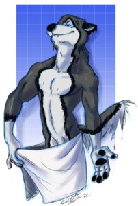 Rating: Explicit Score: 0 Tags: 2012 4_fingers amonomega anthro biped black_body black_fur black_nose border canid canine canis countershading domestic_dog e621 fingers flaccid fur genitals gloves_(marking) grey_body grey_fur inviting male mammal markings pawpads penis penis_base presenting shower smile solo standing tail towel wet white_border User: bunchy7s