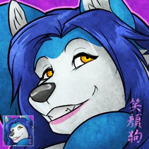 Rating: Safe Score: 0 Tags: 1:1 2011 anthro canid canine canis cool_colors e621 female hair hopey icon long_hair low_res mammal solo wfa wolf User: bunchy7s