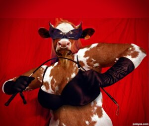 Rating: Questionable Score: 0 Tags: abstract_background bovid bovine bra cattle clothing dominatrix e621 ear_piercing ear_tag eyewear facial_piercing female freejay gloves handwear jewelry mammal nose_piercing nose_ring photo_manipulation photomorph piercing riding_crop ring_piercing septum_piercing simple_background solo sunglasses third-party_edit underwear whip User: bunchy7s Rating: Questionable Score: 0 Tags: abstract_background bovid bovine bra cattle clothing dominatrix e621 ear_piercing ear_tag eyewear facial_piercing female freejay gloves handwear jewelry mammal nose_piercing nose_ring photo_manipulation photomorph piercing riding_crop ring_piercing septum_piercing simple_background solo sunglasses third-party_edit underwear whip User: bunchy7s
