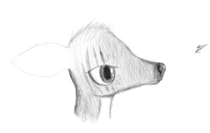 Rating: Safe Score: 0 Tags: 2012 ambiguous_gender deer e621 graphite_(artwork) greyscale mammal monochrome scruffythedeer simple_background sketch solo traditional_media_(artwork) white_background User: bunchy7s Rating: Safe Score: 0 Tags: 2012 ambiguous_gender deer e621 graphite_(artwork) greyscale mammal monochrome scruffythedeer simple_background sketch solo traditional_media_(artwork) white_background User: bunchy7s