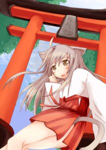 Rating: Questionable Score: 0 Tags: animal_humanoid asian_clothing cat_humanoid clothing e621 east_asian_clothing felid felid_humanoid feline feline_humanoid female hair humanoid japanese_clothing long_hair mammal mammal_humanoid solo tail unknown_artist white_hair yellow_eyes User: bunchy7s Rating: Questionable Score: 0 Tags: animal_humanoid asian_clothing cat_humanoid clothing e621 east_asian_clothing felid felid_humanoid feline feline_humanoid female hair humanoid japanese_clothing long_hair mammal mammal_humanoid solo tail unknown_artist white_hair yellow_eyes User: bunchy7s