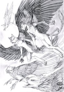 Rating: Safe Score: 0 Tags: alectorfencer anthro avian beak canid canine canis e621 feathered_wings feathers felid flying group gryphon line_art lion male mammal monochrome mythological_avian mythological_creature mythology pantherine tail wings wolf User: bunchy7s Rating: Safe Score: 0 Tags: alectorfencer anthro avian beak canid canine canis e621 feathered_wings feathers felid flying group gryphon line_art lion male mammal monochrome mythological_avian mythological_creature mythology pantherine tail wings wolf User: bunchy7s