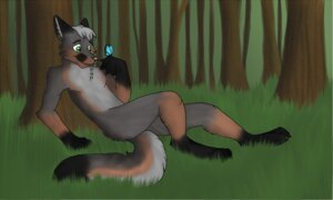 Rating: Safe Score: 0 Tags: anthro arthropod black_body black_fur brown_body brown_fur butterfly canid canine detailed_background dipstick_tail e621 forest fox fur gloves_(marking) grass green_eyes grey_body grey_fox grey_fur hi_res insect leg_markings lepidopteran male mammal markings multicolored_body multicolored_fur outside plant renashe scenery socks_(marking) solo tail tail_markings tree urocyon wood User: bunchy7s