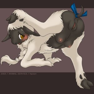 Rating: Explicit Score: 0 Tags: 1:1 bovid caprine caprine_udders domestic_sheep e621 female feral genitals haison hooves low_res mammal nude plump_labia sheep solo teats udders vulva User: bunchy7s
