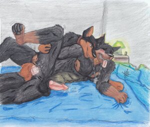 Rating: Explicit Score: 0 Tags: 2013 anal anal_penetration anthro balls bones14 canid canine canis countershading dobermann domestic_dog duo e621 erection genitals male male/male male_penetrated male_penetrating male_penetrating_male mammal penetration penis pinscher sex soradezwolfox User: bunchy7s