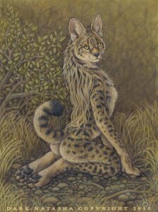 Rating: Safe Score: 0 Tags: 2010 4_toes ambiguous_gender anthro black_pawpads brown_pawpads butt dark_natasha detailed detailed_background digitigrade e621 feet feet_together felid feline fur grass hair hindpaw looking_at_viewer mammal mane mane_hair markings nude outside pawpads paws plant realistic rock semi-anthro serval signature soles solo spots spotted_body spotted_fur tail toes traditional_media_(artwork) whiskers yellow_eyes User: bunchy7s