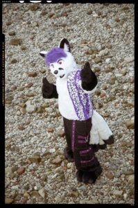 Rating: Safe Score: 0 Tags: anthro bottomwear canid canine clothing costume denim denim_bottomwear denim_clothing e621 fox fursuit gallenw grandfathered_content hair jeans looking_at_viewer male mammal multi_tail pants photography_(artwork) pink_eyes real short_hair solo tail User: bunchy7s