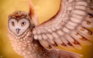 Rating: Safe Score: 0 Tags: 16:10 2012 ambiguous_gender avian barn_owl beak bird brown_body brown_feathers detailed detailed_feathers digital_media_(artwork) digital_painting_(artwork) e621 feathered_wings feathers feral grey_beak guardians_of_ga'hoole kludd orange_eyes owl painting_(artwork) shaded signature simple_background solo tan_body tan_feathers tyto tytonid vyntastic western_barn_owl widescreen wings yellow_background User: bunchy7s