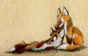 Rating: Safe Score: 0 Tags: 2011 ambiguous_gender bite canid canine dipstick_tail duo e621 feral fox mammal markings skia tail tail_markings User: bunchy7s Rating: Safe Score: 0 Tags: 2011 ambiguous_gender bite canid canine dipstick_tail duo e621 feral fox mammal markings skia tail tail_markings User: bunchy7s