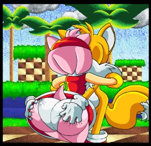 Rating: Questionable Score: 0 Tags: 2011 amy_rose anthro big_butt black_border border bubble_butt butt butt_grab canid canine digital_media_(artwork) duo e621 eulipotyphlan female fox fur hand_on_butt hedgehog kissing male male/female mammal miles_prower orange_body orange_fur pink_body pink_skin sega sonic_the_hedgehog_(series) tail thick_thighs thin_calves thin_legs thin_thighs virus-20 wide_hips User: bunchy7s