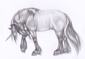 Rating: Explicit Score: 0 Tags: animal_genitalia e621 equid equine feral genitals hooves horn lightstep male mammal mythological_creature mythological_equine mythology quadruped sheath simple_background solo tail unicorn white_background User: bunchy7s Rating: Explicit Score: 0 Tags: animal_genitalia e621 equid equine feral genitals hooves horn lightstep male mammal mythological_creature mythological_equine mythology quadruped sheath simple_background solo tail unicorn white_background User: bunchy7s